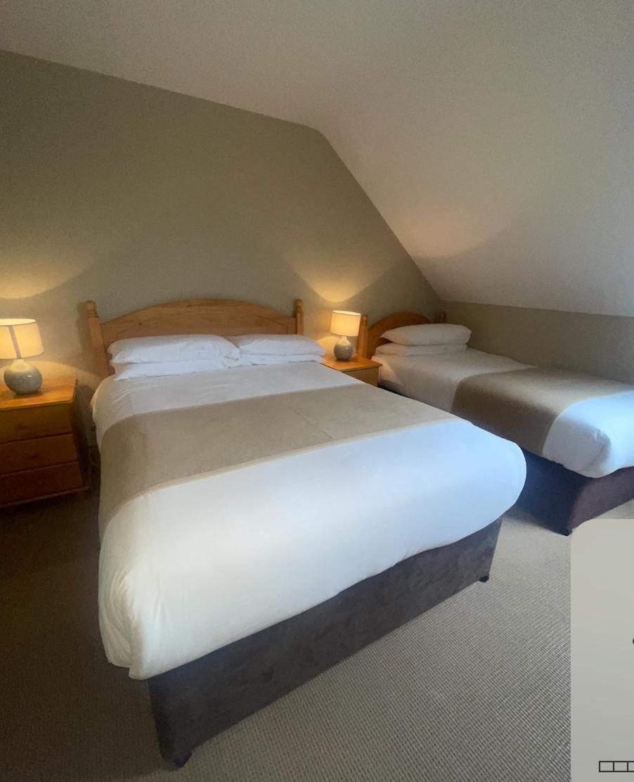 Dingle Harbour Nights Hotel Екстериор снимка
